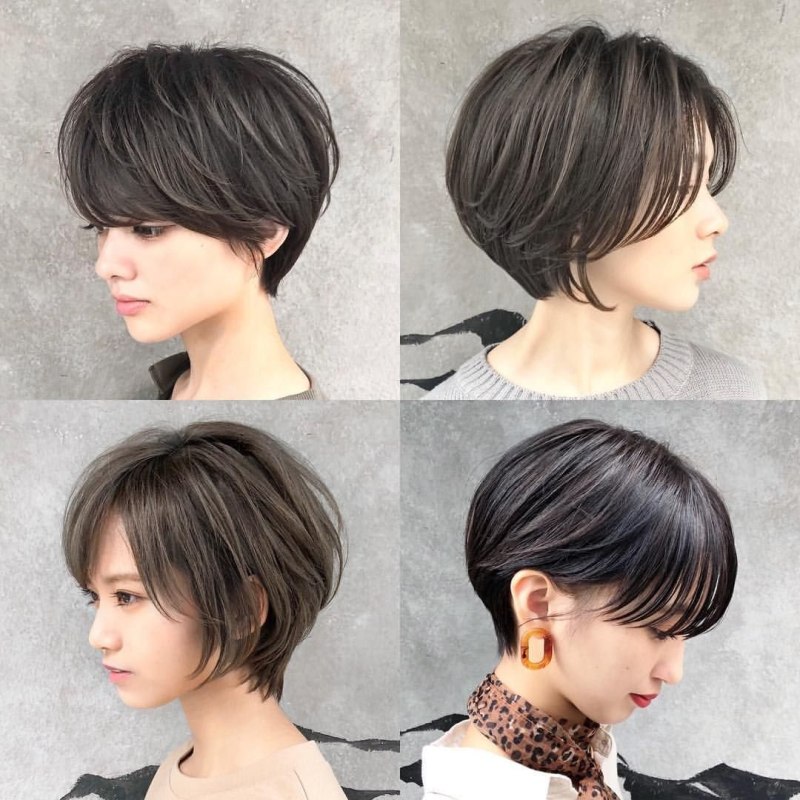 Pixie Bob стрижка Корея