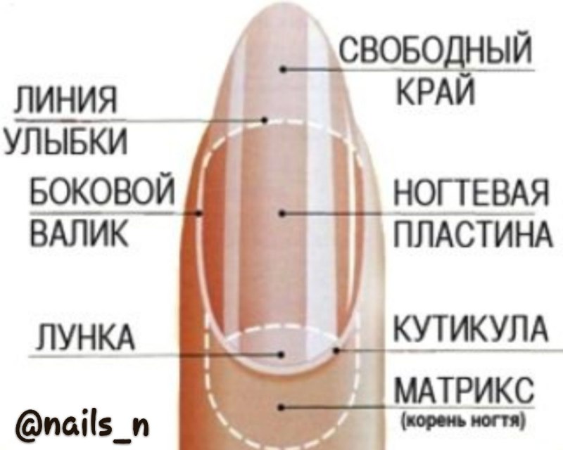 Опил ногтевой пластины схемы