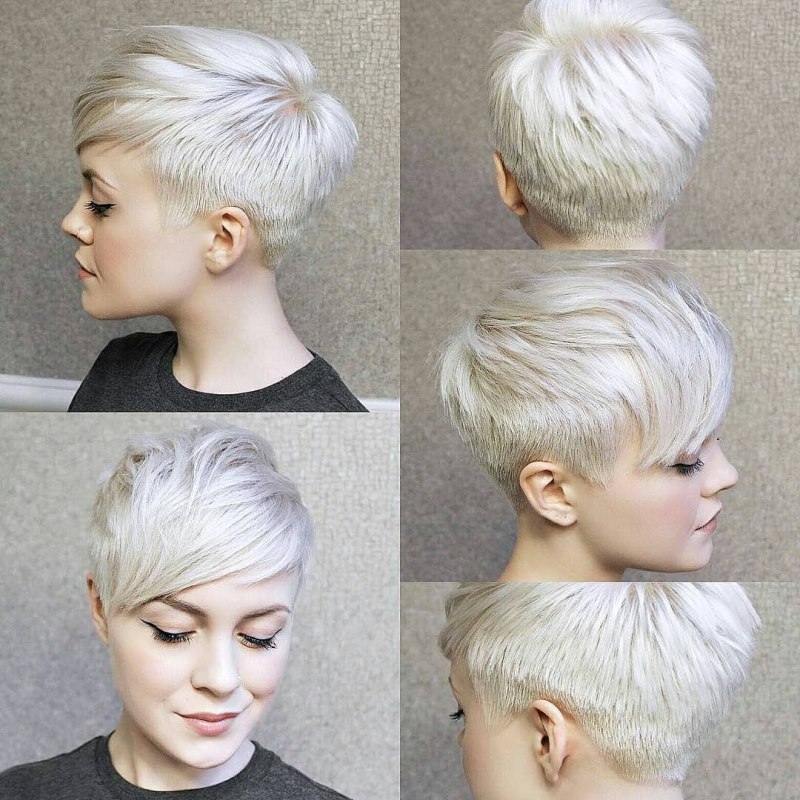 Pixie Bob стрижка Деметриус