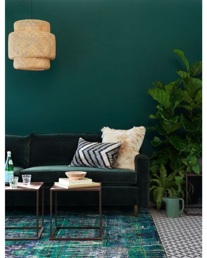 Краска little Greene Puck 298