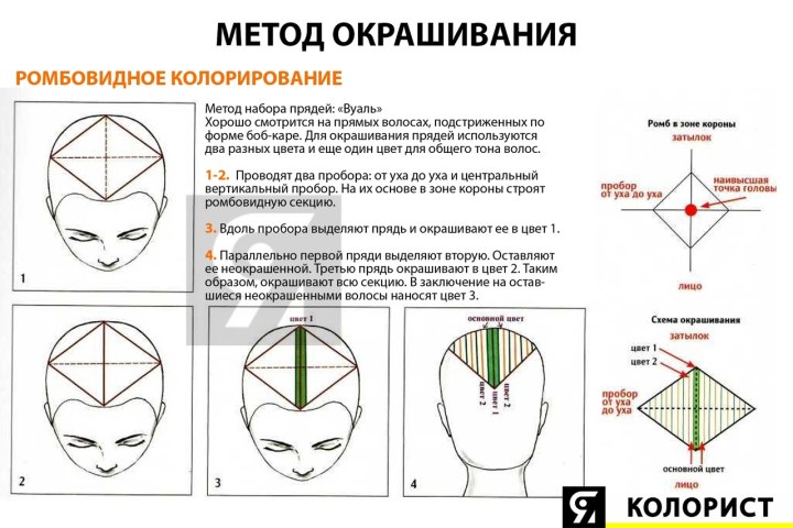 Схема окрашивания корней