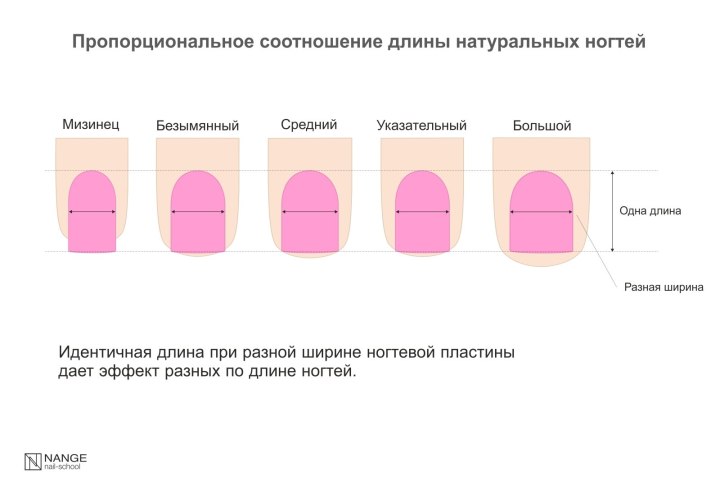 Схема опила длины ногтей
