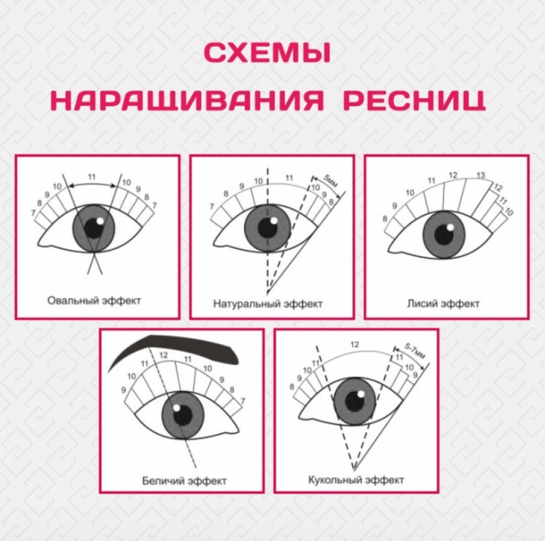 Схема глаза для наращивания. Кукольно-Лисий эффект наращивание ресниц схема. Американский эффект наращивания ресниц схема. Натуральный эффект наращивания ресниц схема 2д. Лисий эффект схема наращивания.